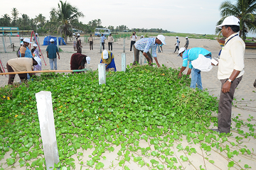 NLCIL observes Cleanliness Fortnight at Maruthur Village and the Silver Beach inSamiyarpettai Village