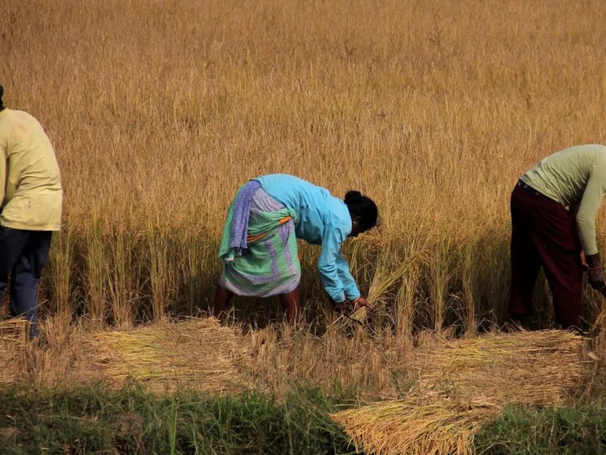 Centre approves Rs 10,700 crore equity infusion in FCI to strengthen agricultural sector