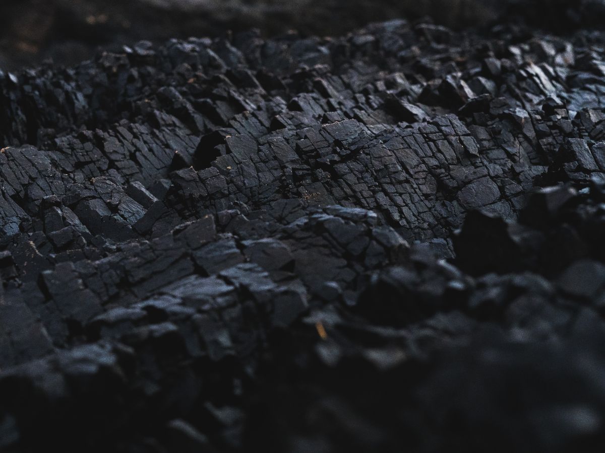 Coal India’s arm Monetizes 2 MTPA Dugda Coal Washery, ensuring Energy Self-reliance