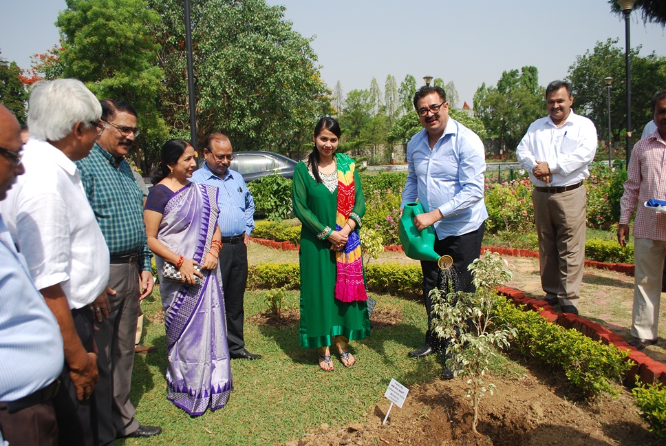 MECON Limited Celebrated the World Environment Day 