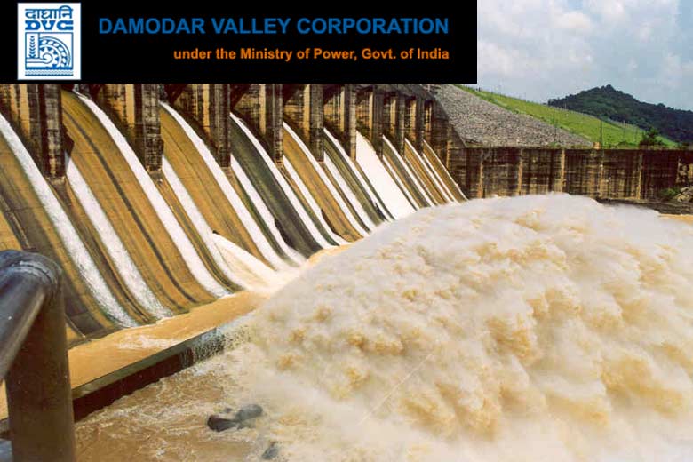 Performance of Damodar Valley Corporation