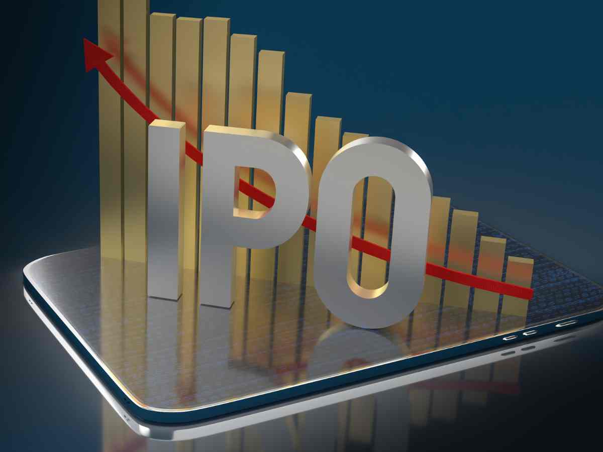 DelaPlex Limited IPO: See Key financial indicators