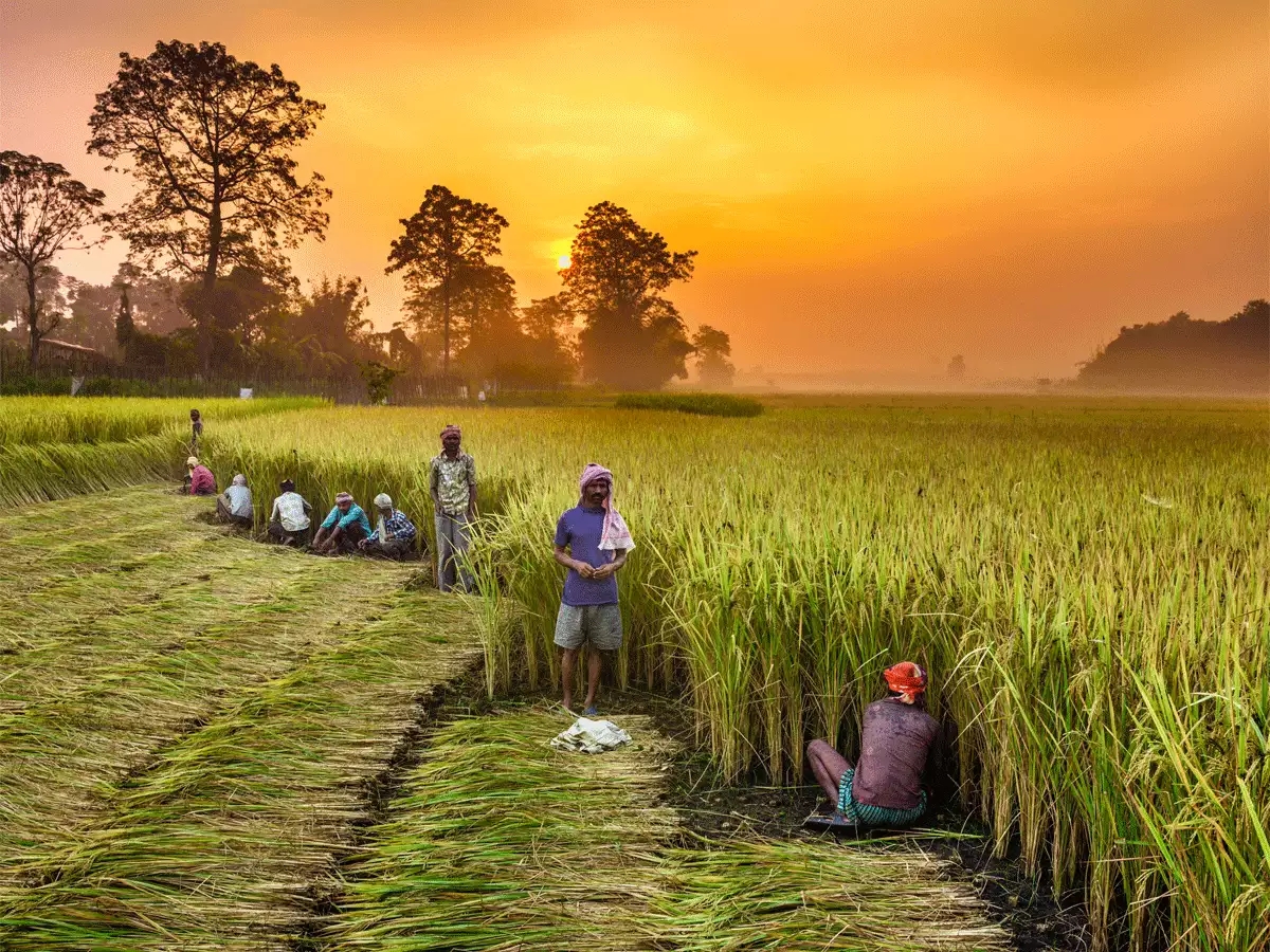 Government to focus on assisting banks in improving flow of credit to Agri-allied sectors: M Nagaraju