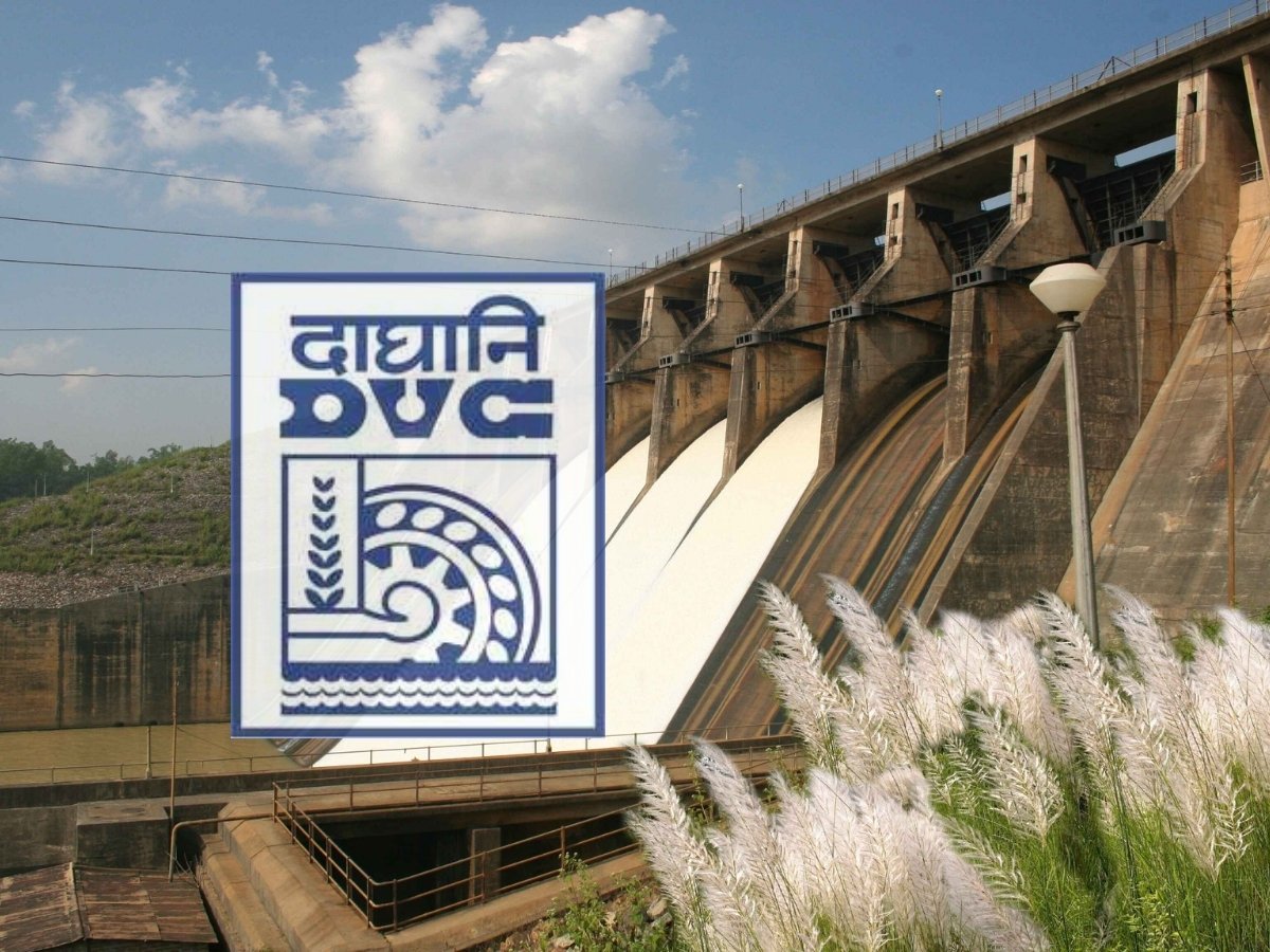 Govt Invites Applications for Top Posts in Damodar Valley Corporation