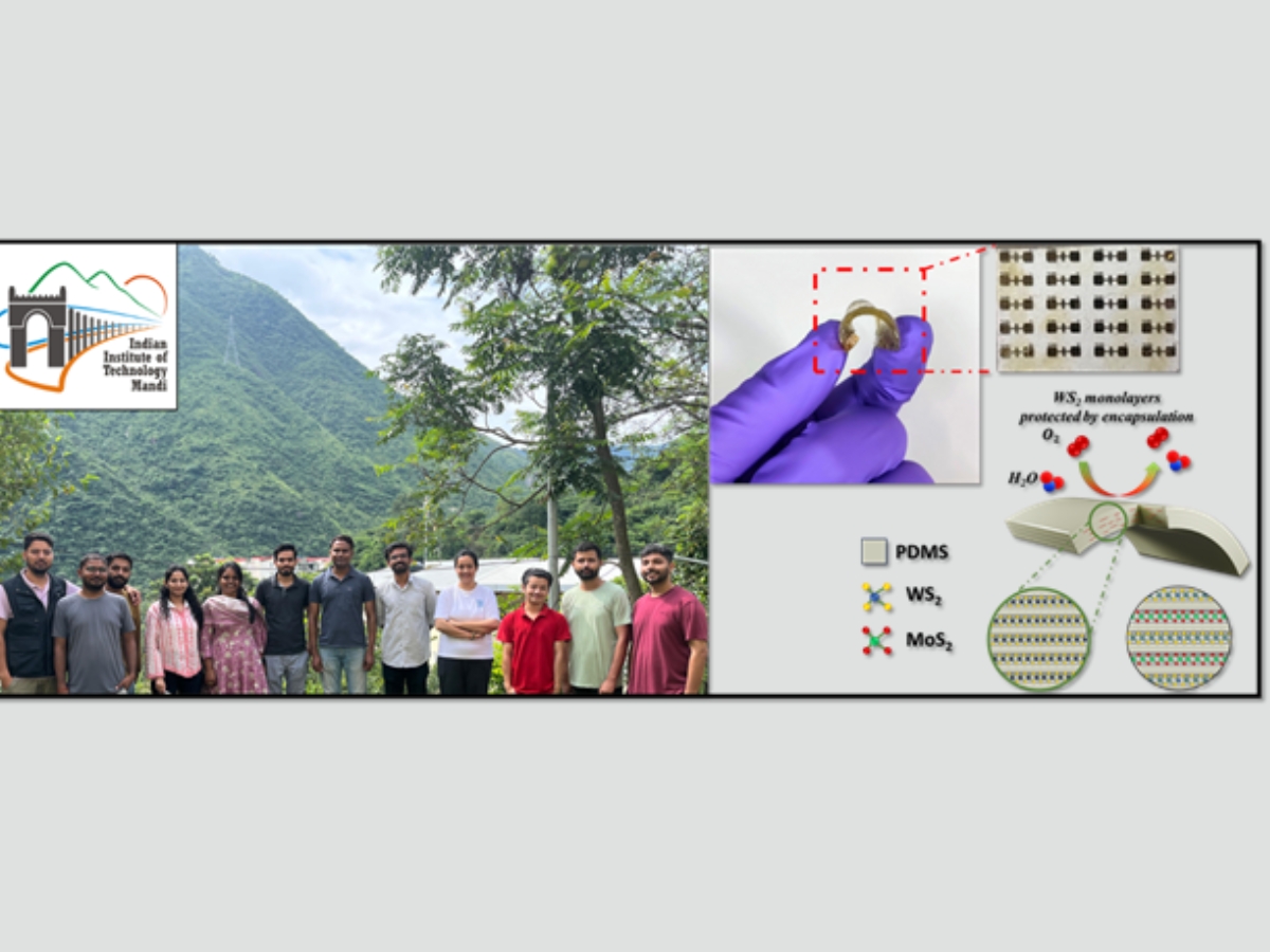 IIT Mandi creates WS2 PDMS composite for flexible and wearable electronics