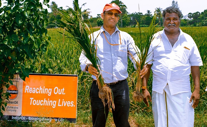 IOCL CSR Intervention in water saving Technologies in Paddy Crop Proved successful for Tamilnandu Farmers