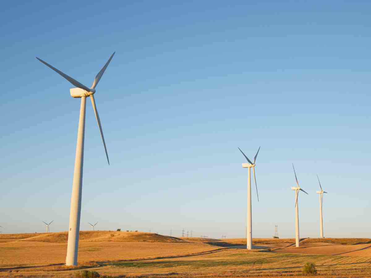 IREDA's Impressive Q1 FY25 Performance