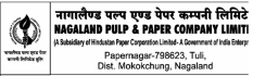 Nagaland Pulp & Paper Company Ltd