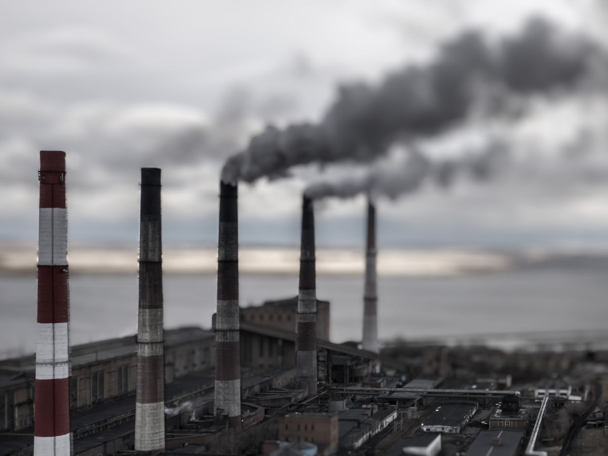Power Ministry decided to benchmark prices of biomass pellets