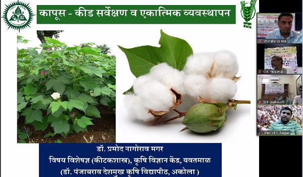 RCF organised Webinar on Cotton Crop Seminar