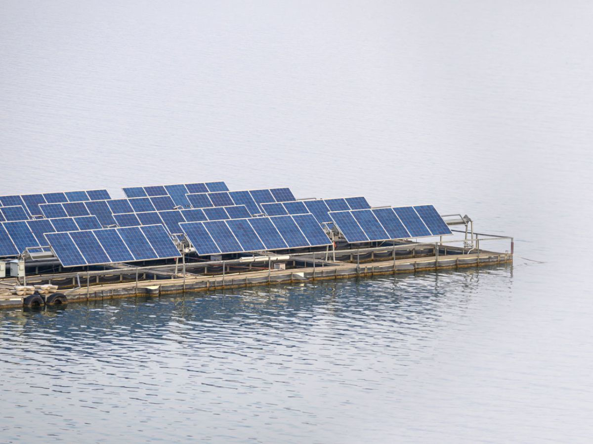 Saatvik Green Energy Celebrates 10 Glorious Years of Clean Energy Excellence