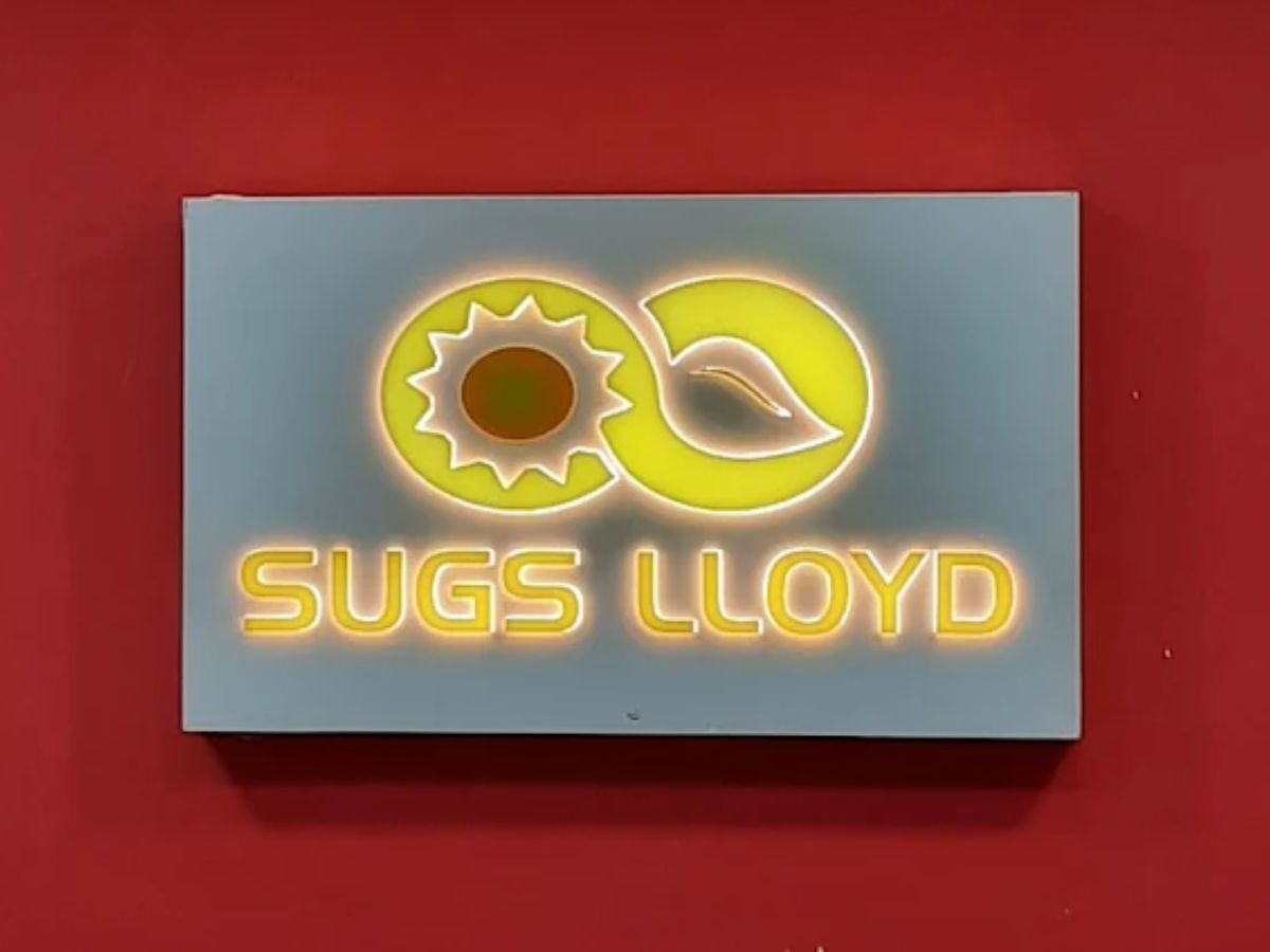 Sugs Lloyd Wins Power Grid Modernization Contract from Gujarat's DGVCL