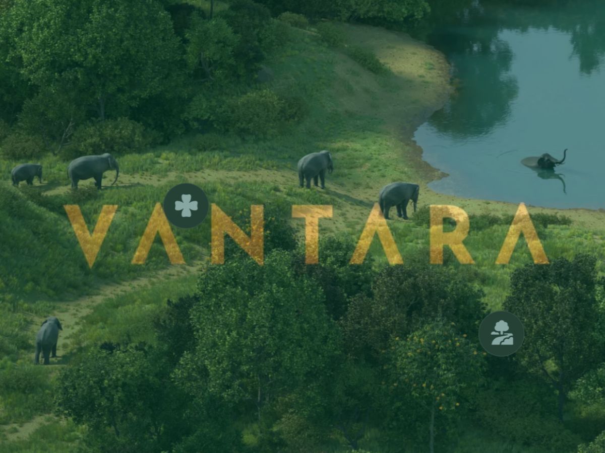 Vantara released statement on appointment of SIT by Supreme Court