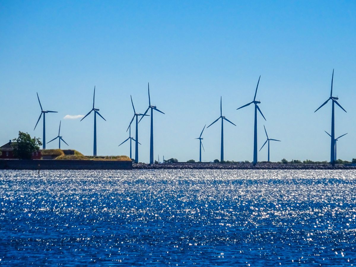 NTPC and NLCIL join together for 450 MW Wind-Solar Hybrid project