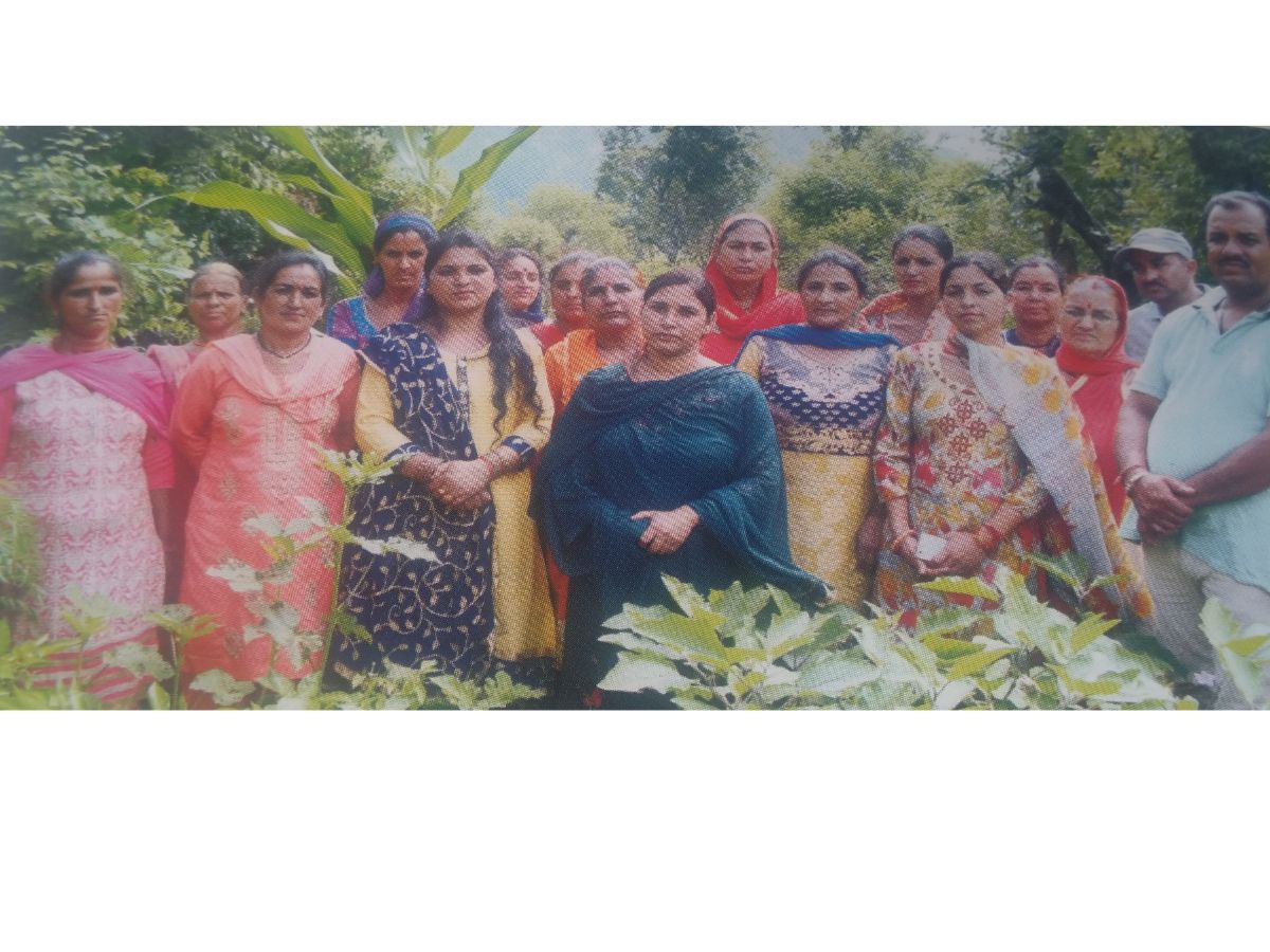 प्राकृतिक खेती में नवोन्मेषी प्रयासों से मिसाल बनीं मंडी जिले के पंजयाणु गांव की महिलाएं