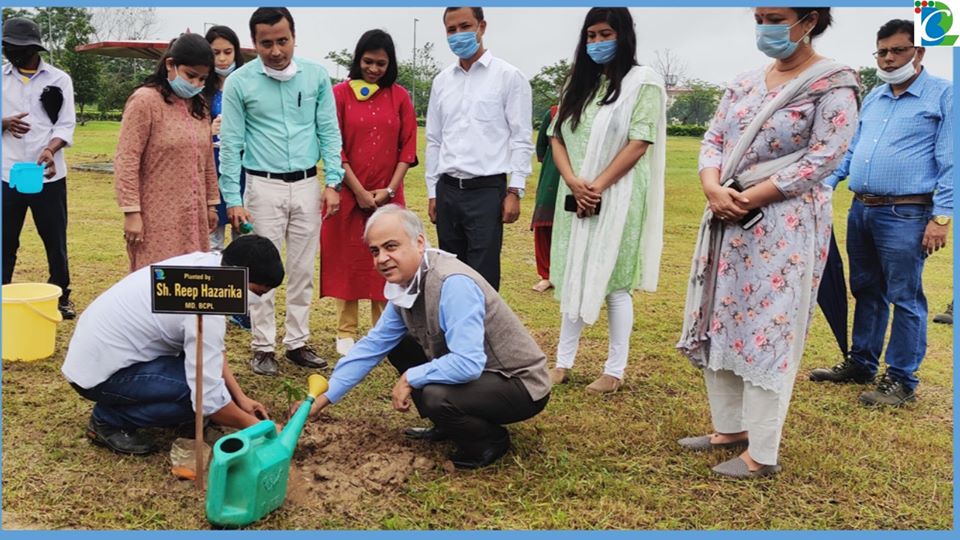 BCPL Celebrated World Environment Day 2020