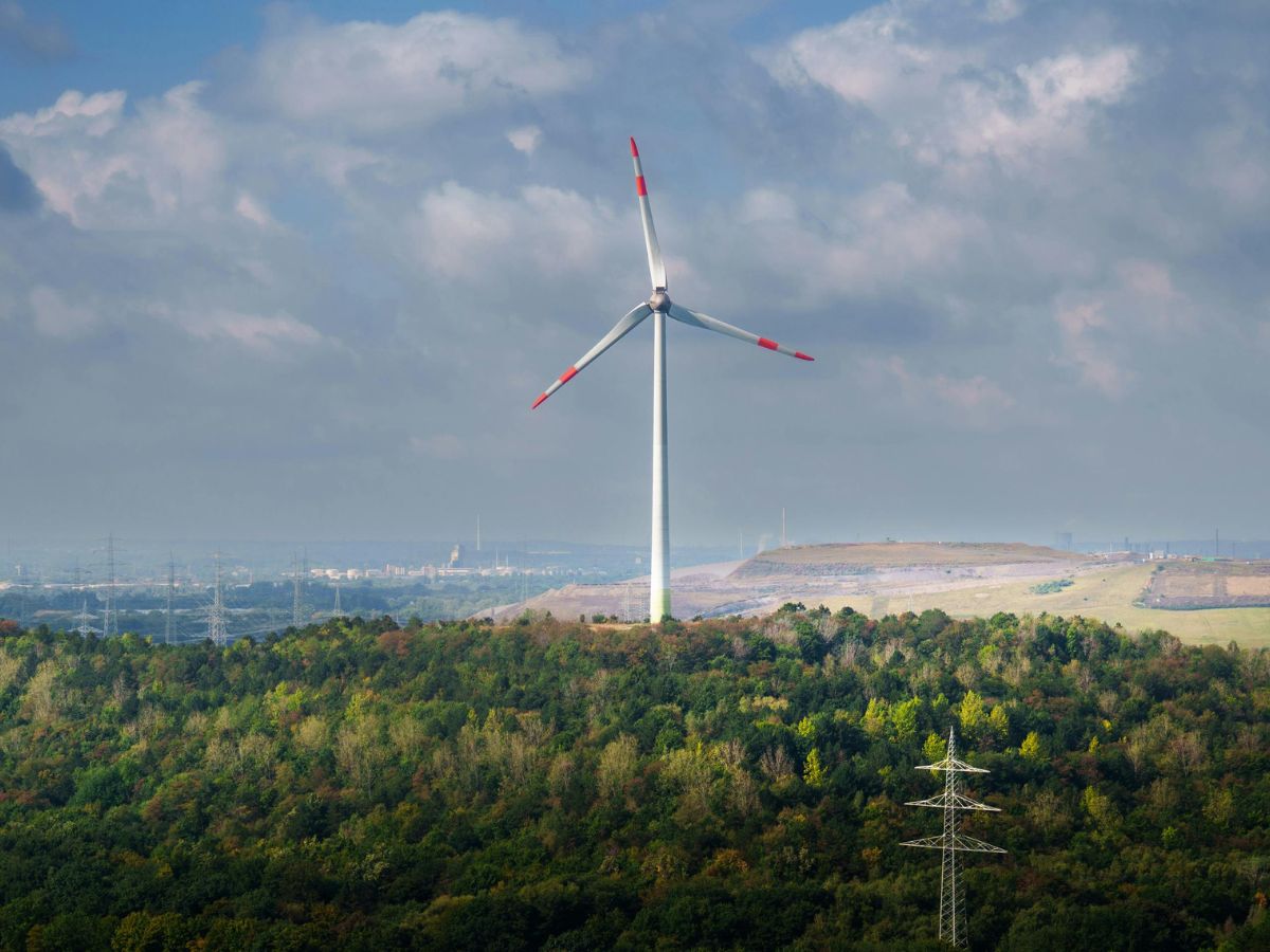 BluPine Energy Secures 150 MW Project in SJVN’s FDRE Auction