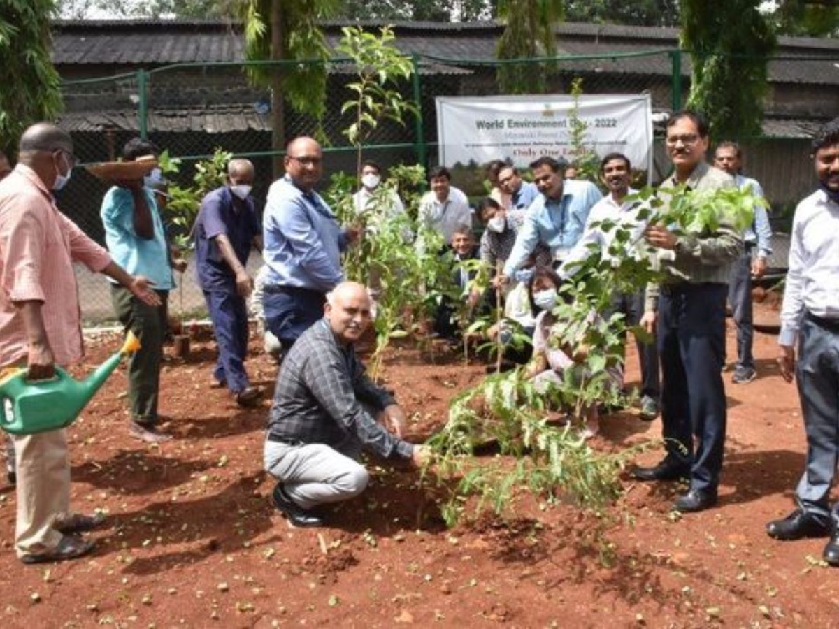 BPCL added 500 more trees by planting saplings