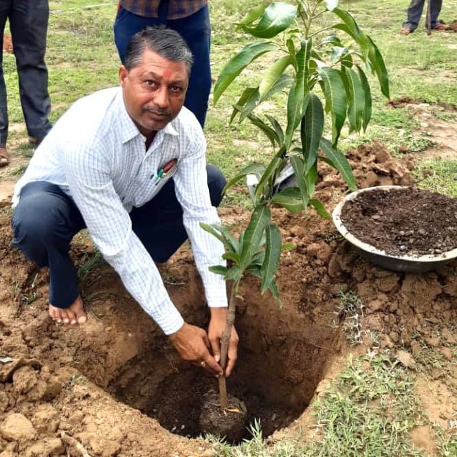BPCL Team planted 501 fruit bearing tree in Kushalpur