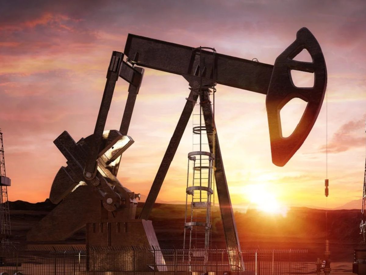 Oil PSUs sourcing crude oil from Guyana, USA and Russia: Rameswar Teli