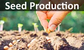 Seed Production