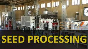 Seed Processing, Handling and Packaging