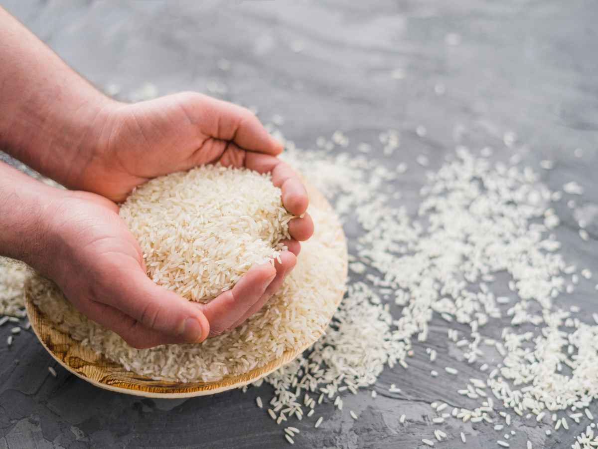 Government launches Bharat rice at subsidized rates to provide relief to consumers