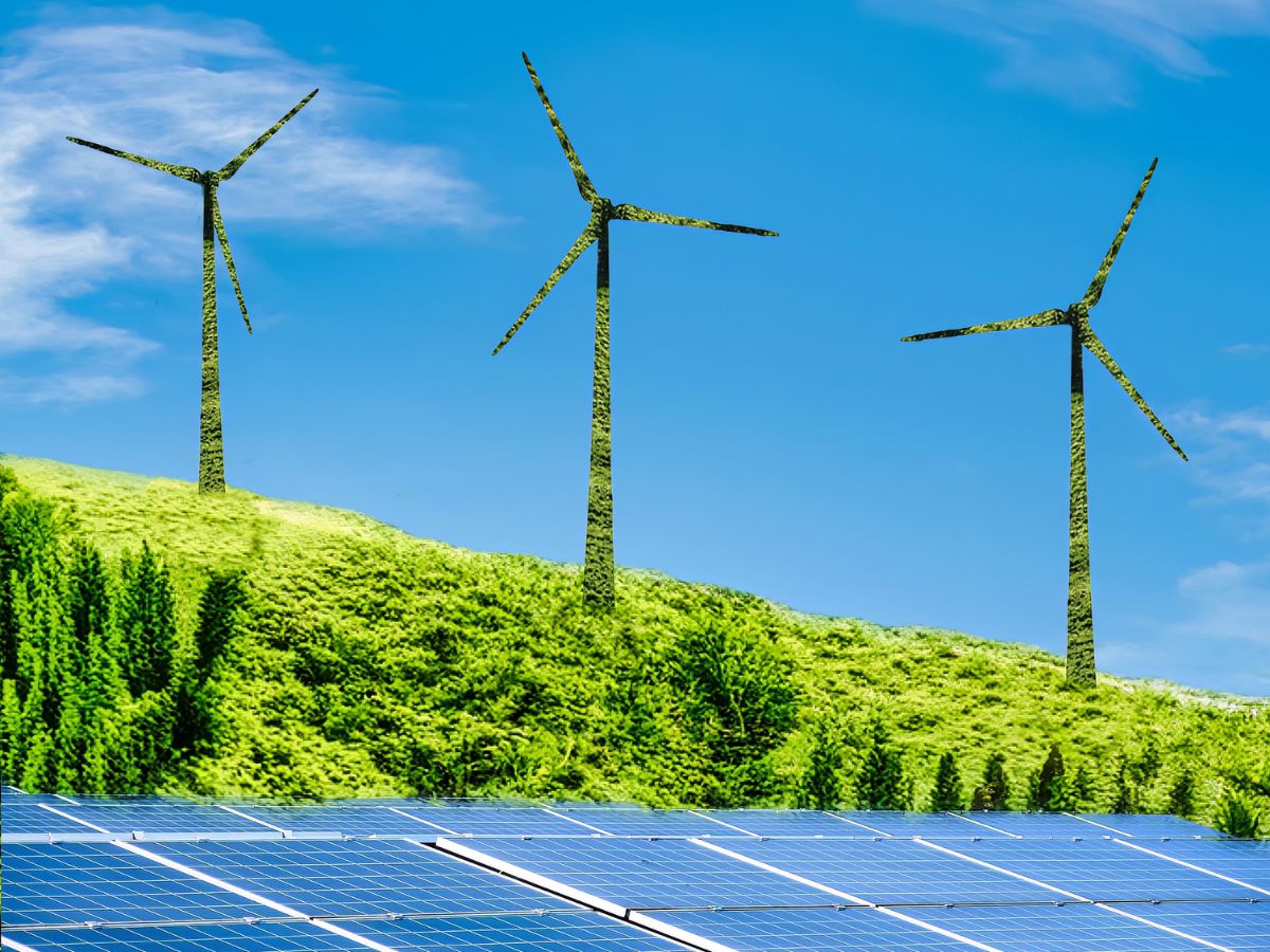 PFC's Endorsement of India's 2025 Budget for Green Energy and Infrastructure