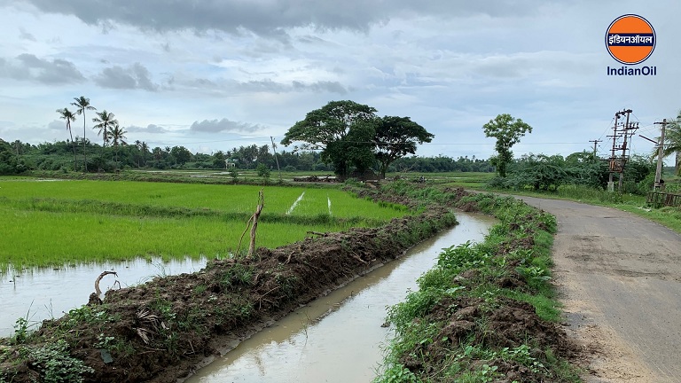 Restoration of Water Canals Back to Life at Moolangudi in Tamil Nadu