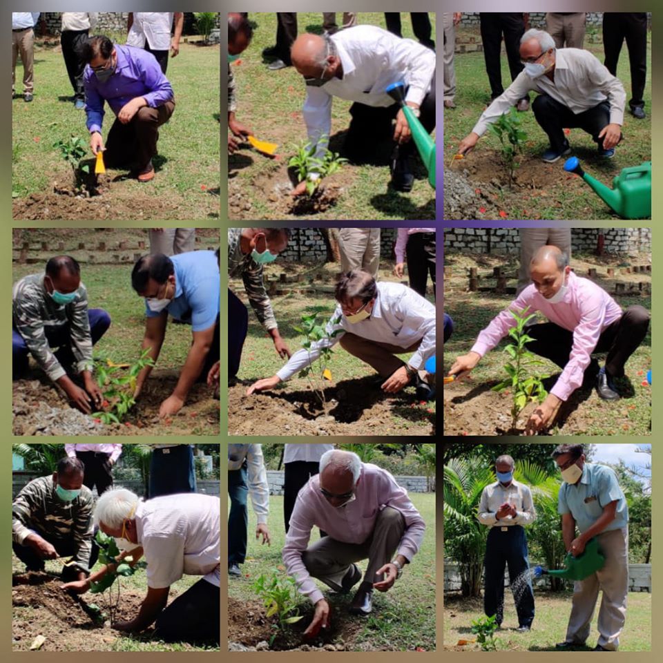 MECON planted saplings to observe World Environment Day