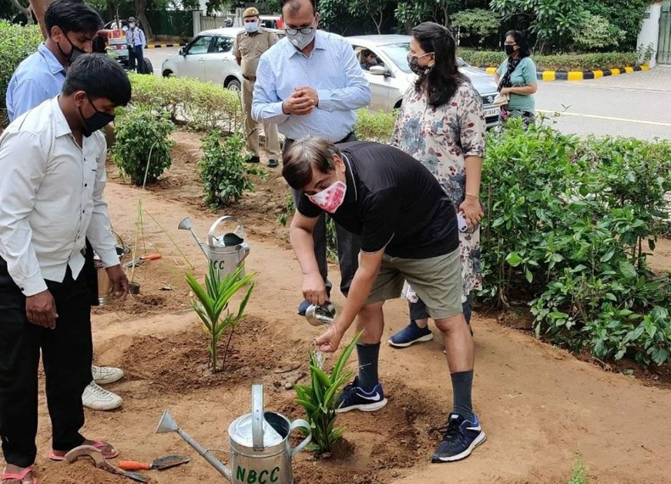 Tree plantation event organised by NBCC