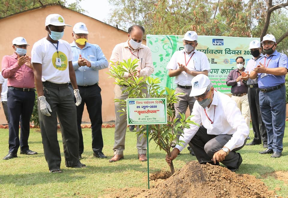 NHPC Celebrates World Environment Day 2020