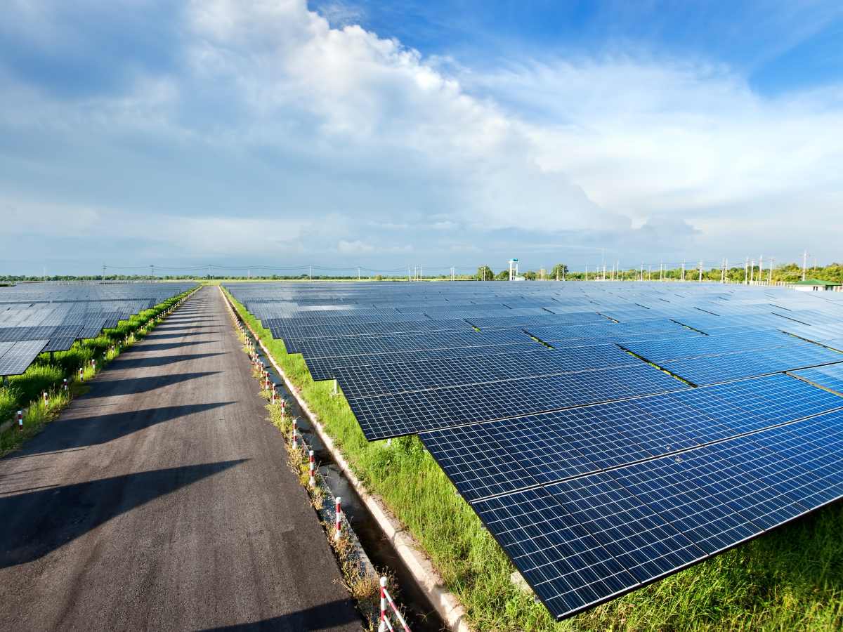 NHPC awards 3,000 MW solar projects to 8 bidders