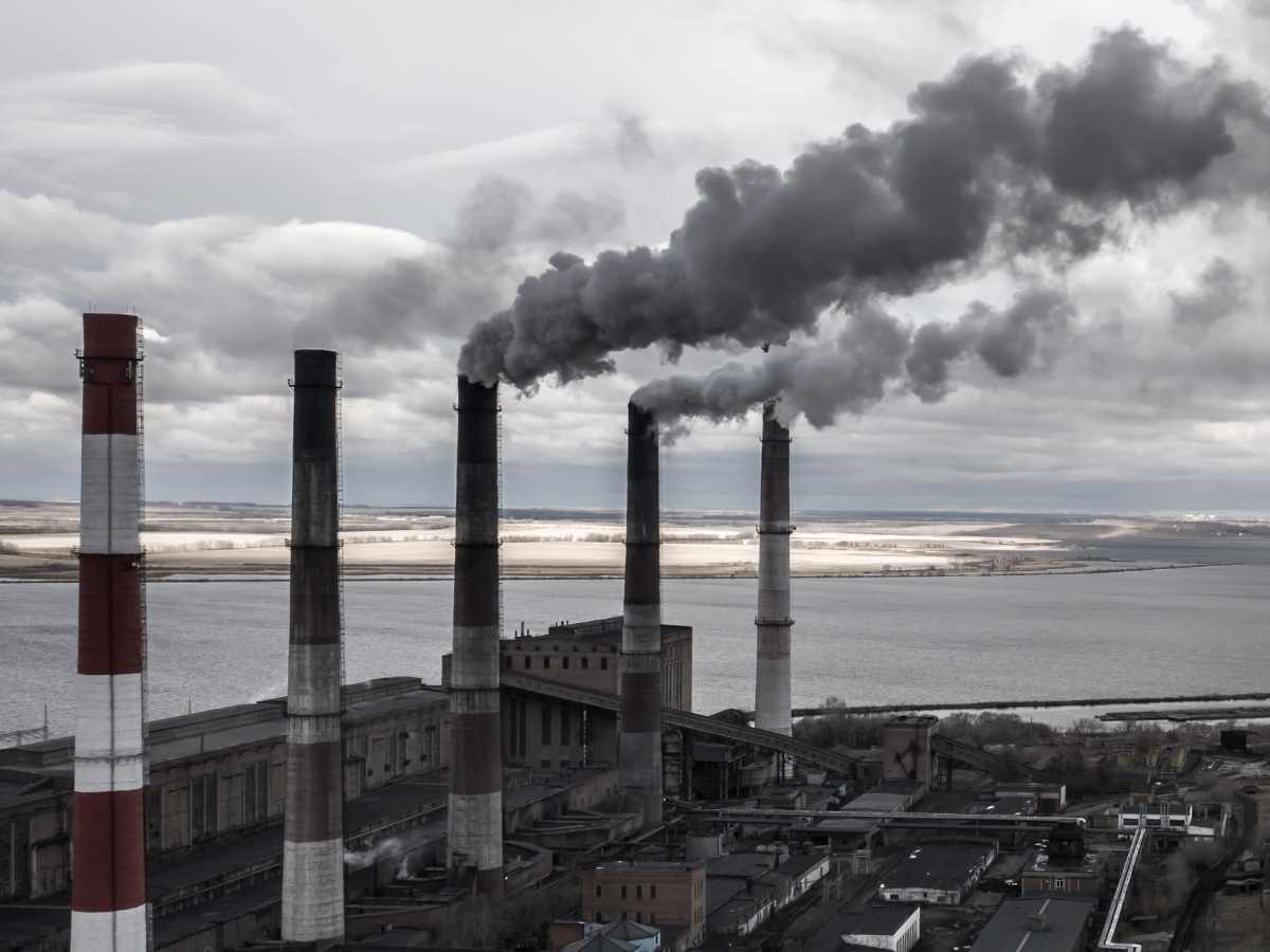 NTPC to commercialize biomass co-firing in coal-powered plants
