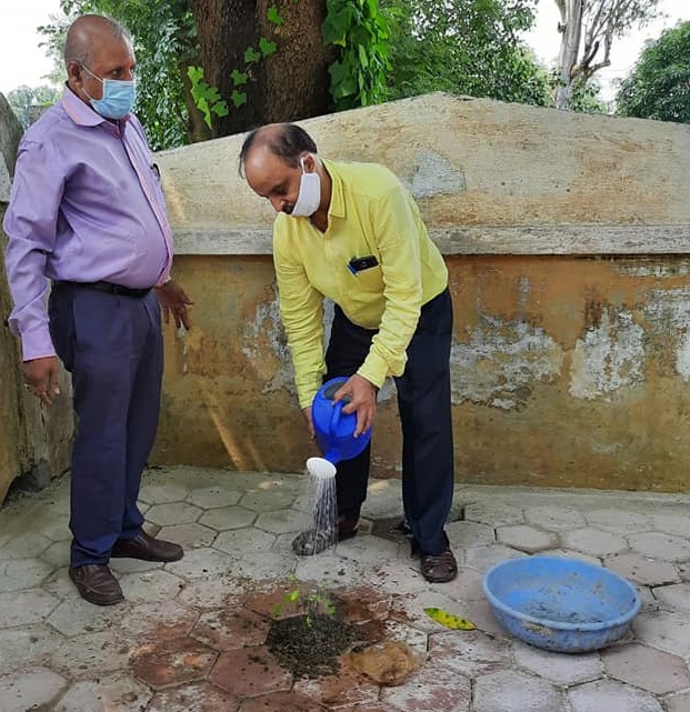 SECL organised plantation work at childrens park