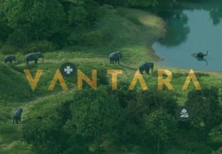 Vantara released statement on appointment of SIT by Supreme Court