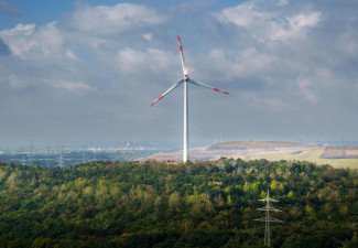 BluPine Energy Secures 150 MW Project in SJVN’s FDRE Auction