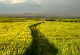 GST Rate Cuts to Boost Agriculture, Tourism, and Industry in Uttarakhand