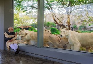 Imágenes inimaginables del PM Modi desde Vantara en Jamnagar