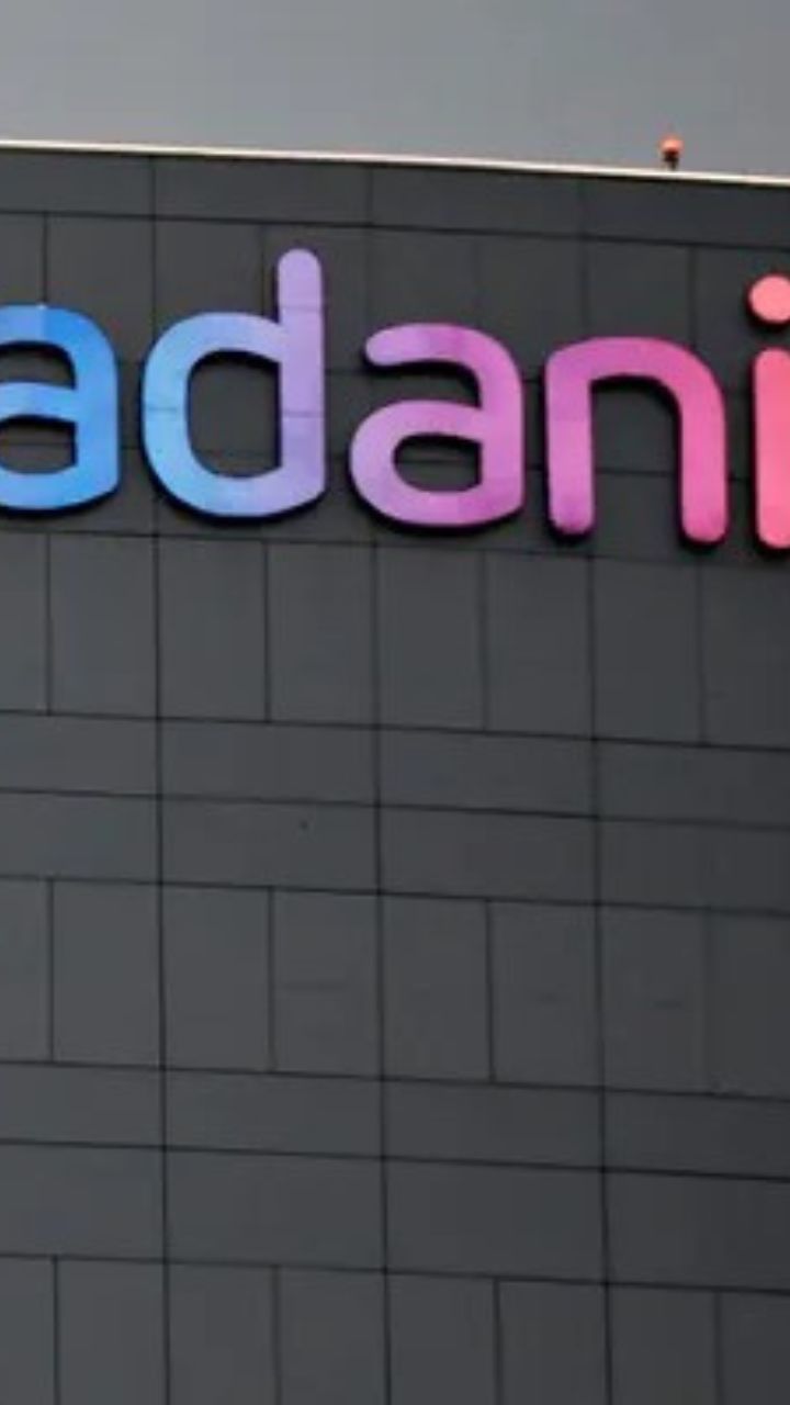 Adani increased stake in two group companies