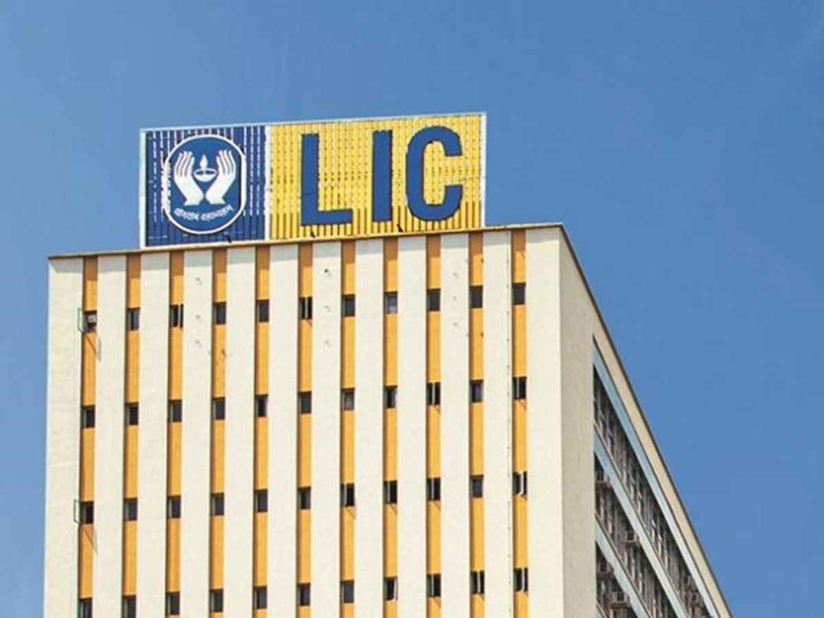 LIC Q1 Results: Net Profit rises by 5.02% at Rs 10,986 crore