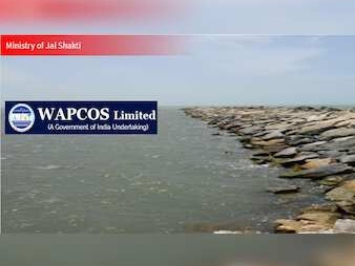 WAPCOS gets interim CMD after Ministry removes Former on immediate basis